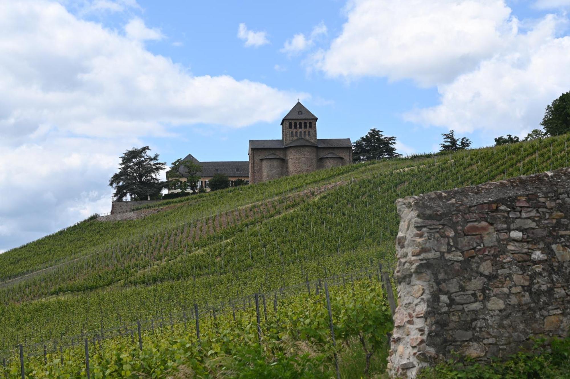 Wein- Und Sekthaus F.b.schoenleber * Oestrich-Winkel